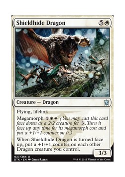 Shieldhide Dragon