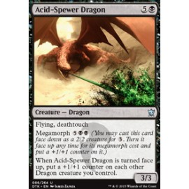 Acid-Spewer Dragon