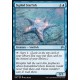  Sigiled Starfish 