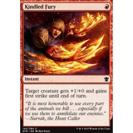 Kindled Fury