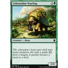 Colossodon Yearling