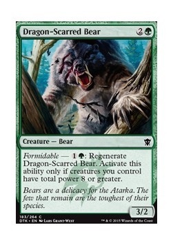 Dragon-Scarred Bear