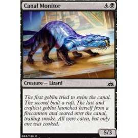 Canal Monitor