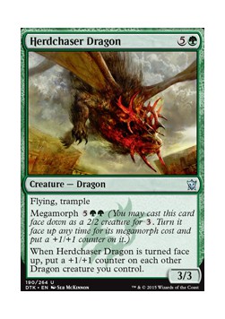 Herdchaser Dragon