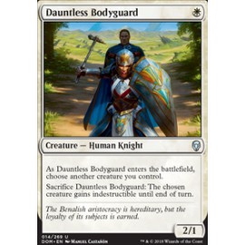 Dauntless Bodyguard