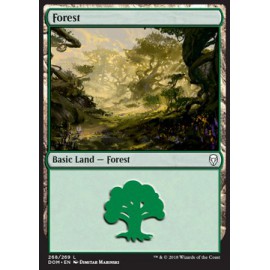 Forest Dominaria FOIL 268