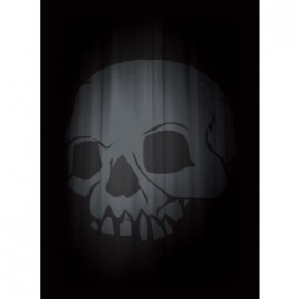 Legion - Super Iconic - Skull (50 protektorów)