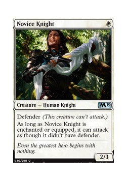 Novice Knight