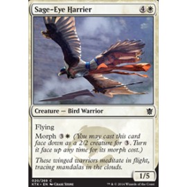 Sage-Eye Harrier