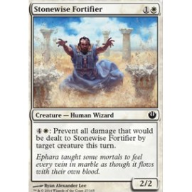 Stonewise Fortifier