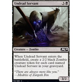 Undead Servant