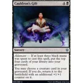 Cauldron's Gift FOIL