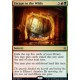 Escape to the Wilds FOIL