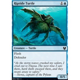 Riptide Turtle