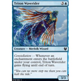Triton Waverider FOIL