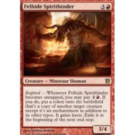 Felhide Spiritbinder