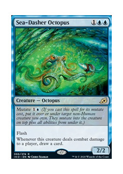 Sea-Dasher Octopus