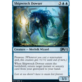 Shipwreck Dowser