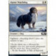 Alpine Watchdog FOIL