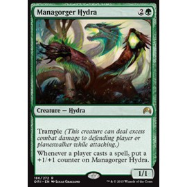  Managorger Hydra 