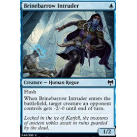 Brinebarrow Intruder