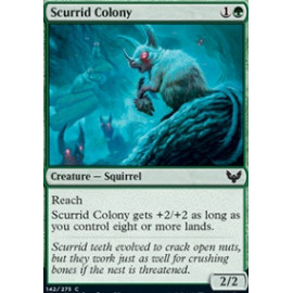 Scurrid Colony