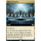 Hall of Oracles (Extras)