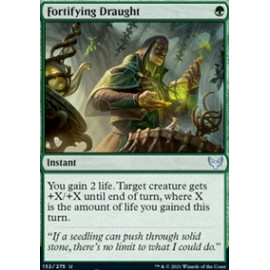 Fortifying Draught FOIL