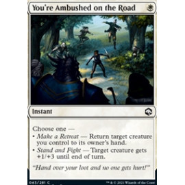 You're Ambushed on the Road