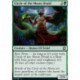 Circle of the Moon Druid FOIL