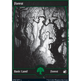 Forest 276 MID