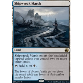 Shipwreck Marsh FOIL