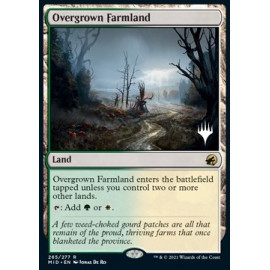 Overgrown Farmland (Promo Pack)