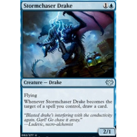 Stormchaser Drake