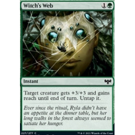 Witch's Web