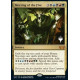 Meeting of the Five FOIL (Promo Pack)