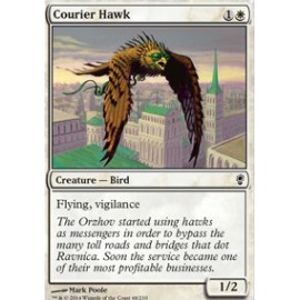 Courier Hawk