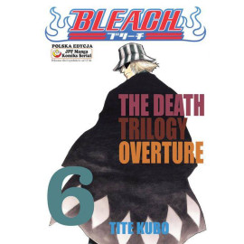 Bleach Tom 6