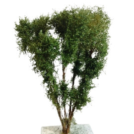 Polák 9523 Multi-Stemmed Tree - Up To 13cm - Hobby Series