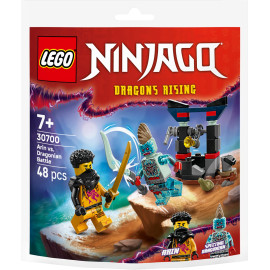 LEGO NINJAGO 30700 Bitwa Arina z Dragonem