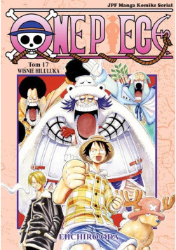 One Piece Tom 17
