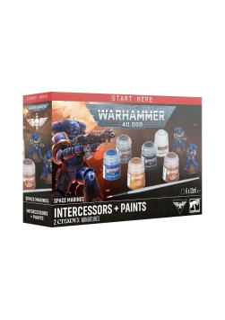 Space Marines: Intercessors + Paints