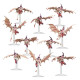 Tyranids: Gargoyle Brood