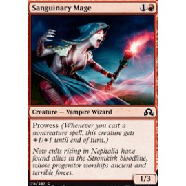 Sanguinary Mage