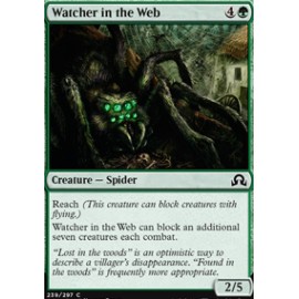 Watcher in the Web