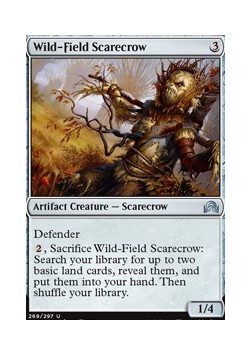 Wild-Field Scarecrow
