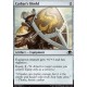 Cathar's Shield