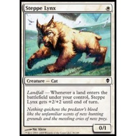 Steppe Lynx