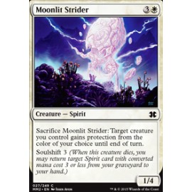 Moonlit Strider