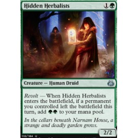 Hidden Herbalists